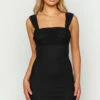 Sierra Black Mesh Mini Dress