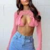 Zayden Pink Mesh Bow Top And Bolero